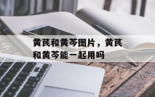 黄芪和黄芩图片，黄芪和黄芩能一起用吗