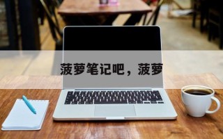 菠萝笔记吧，菠萝