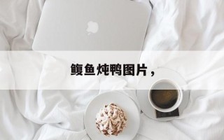 鳆鱼炖鸭图片，