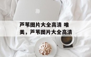 芦苇图片大全高清 唯美，芦苇图片大全高清