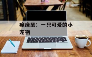 痒痒鼠：一只可爱的小宠物