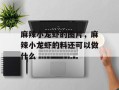 麻辣小龙虾的图片，麻辣小龙虾的料还可以做什么