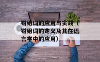 钳组词的应用与实践（钳组词的定义及其在语言学中的应用）