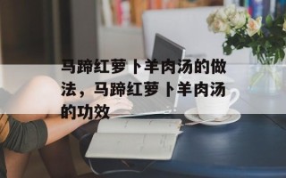 马蹄红萝卜羊肉汤的做法，马蹄红萝卜羊肉汤的功效