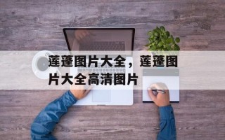 莲蓬图片大全，莲蓬图片大全高清图片