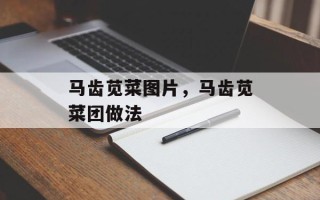 马齿苋菜图片，马齿苋菜团做法