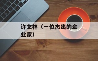 许文林（一位杰出的企业家）