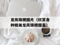 龙凤锦鲤图片（欣赏各种精美龙凤锦鲤图案）