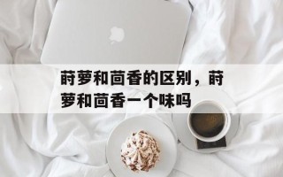 莳萝和茴香的区别，莳萝和茴香一个味吗