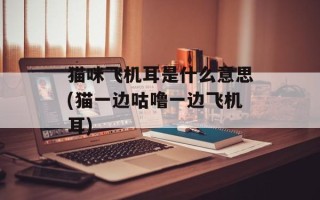 猫咪飞机耳是什么意思(猫一边咕噜一边飞机耳)