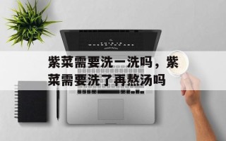 紫菜需要洗一洗吗，紫菜需要洗了再熬汤吗