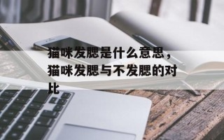 猫咪发腮是什么意思，猫咪发腮与不发腮的对比