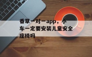 香草一对一app，小车一定要安装儿童安全座椅吗