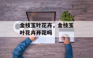 金枝玉叶花卉，金枝玉叶花卉开花吗