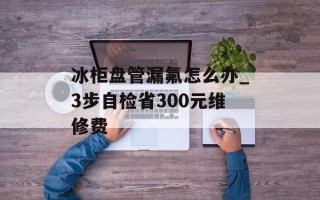 冰柜盘管漏氟怎么办_3步自检省300元维修费