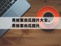黄板栗南瓜图片大全，黄板栗南瓜图片