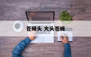 苍蝇头 大头苍蝇