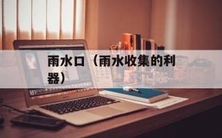 雨水口（雨水收集的利器）