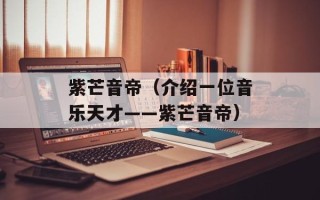 紫芒音帝（介绍一位音乐天才——紫芒音帝）