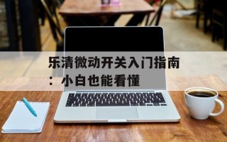 乐清微动开关入门指南：小白也能看懂