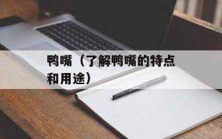 鸭嘴（了解鸭嘴的特点和用途）