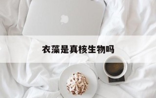 衣藻是真核生物吗