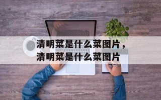 清明菜是什么菜图片，清明菜是什么菜图片
