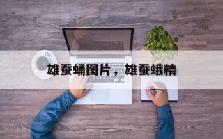 雄蚕蛹图片，雄蚕蛾精