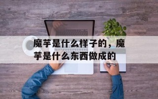 魔芋是什么样子的，魔芋是什么东西做成的