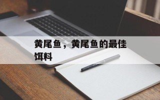 黄尾鱼，黄尾鱼的最佳饵料