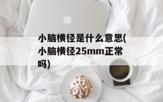 小脑横径是什么意思(小脑横径25mm正常吗)