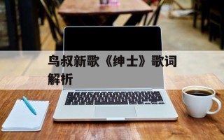 鸟叔新歌《绅士》歌词解析