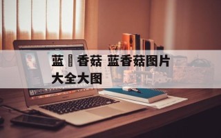 蓝廋香菇 蓝香菇图片大全大图