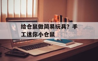 给仓鼠做简易玩具？手工迷你小仓鼠