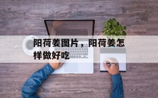 阳荷姜图片，阳荷姜怎样做好吃