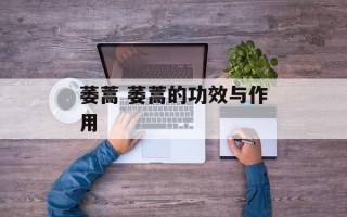 萎蒿 萎蒿的功效与作用
