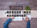 黄豆是毛豆吗（黄豆与毛豆的区别与联系）