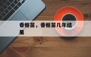 香榧苗，香榧苗几年结果