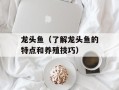 龙头鱼（了解龙头鱼的特点和养殖技巧）