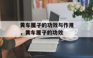 黄车厘子的功效与作用，黄车厘子的功效