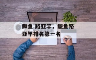 鳜鱼 路亚竿，鳜鱼路亚竿排名第一名