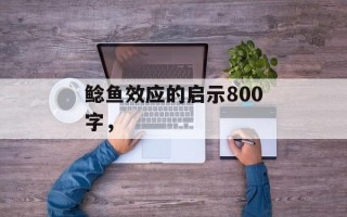 鲶鱼效应的启示800字，