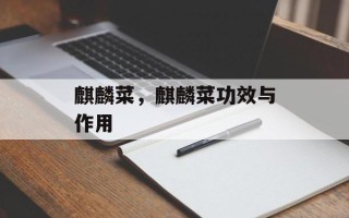 麒麟菜，麒麟菜功效与作用