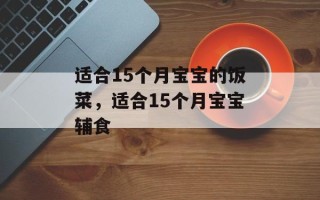 适合15个月宝宝的饭菜，适合15个月宝宝辅食