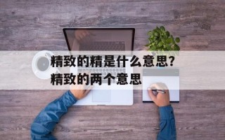 精致的精是什么意思？精致的两个意思