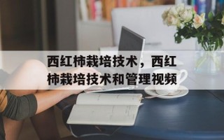 西红柿栽培技术，西红柿栽培技术和管理视频