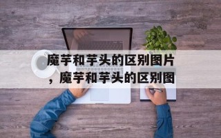 魔芋和芋头的区别图片，魔芋和芋头的区别图