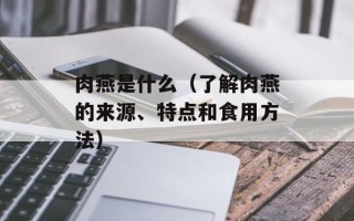 肉燕是什么（了解肉燕的来源、特点和食用方法）