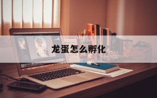 龙蛋怎么孵化
