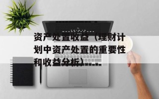 资产处置收益（理财计划中资产处置的重要性和收益分析）